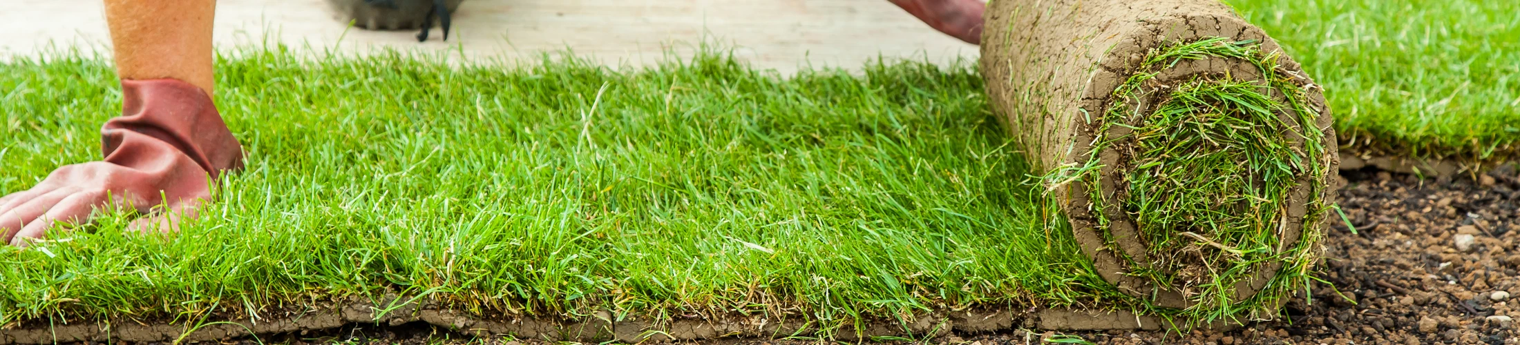 Lawn Sod Installation Experts