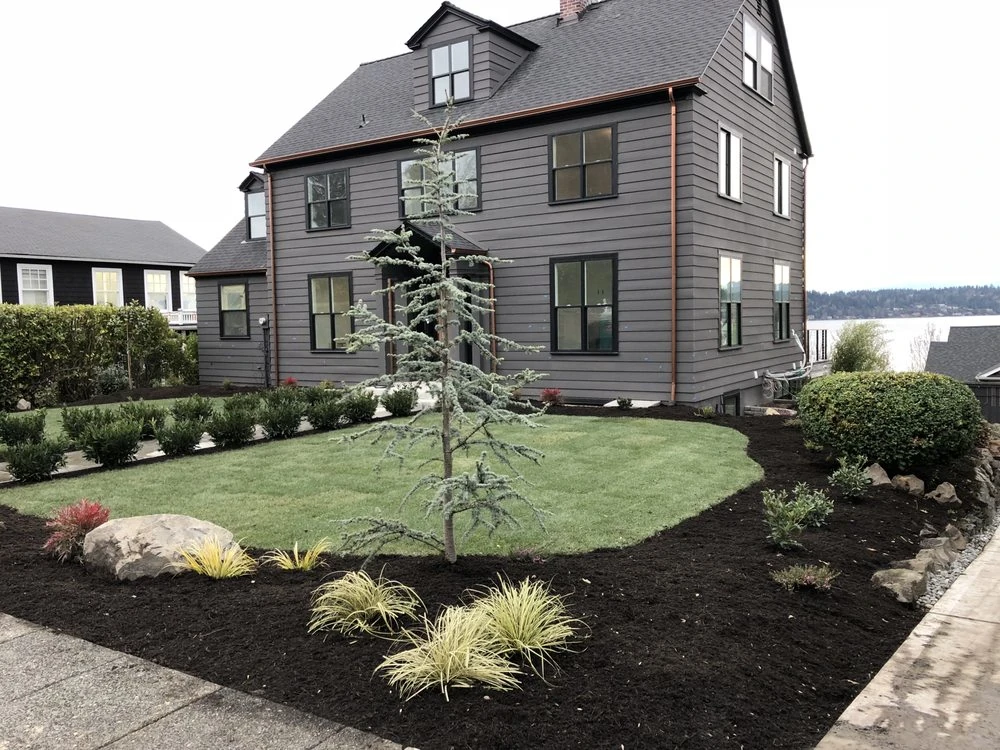 Front Yard Transformation Tree Planting