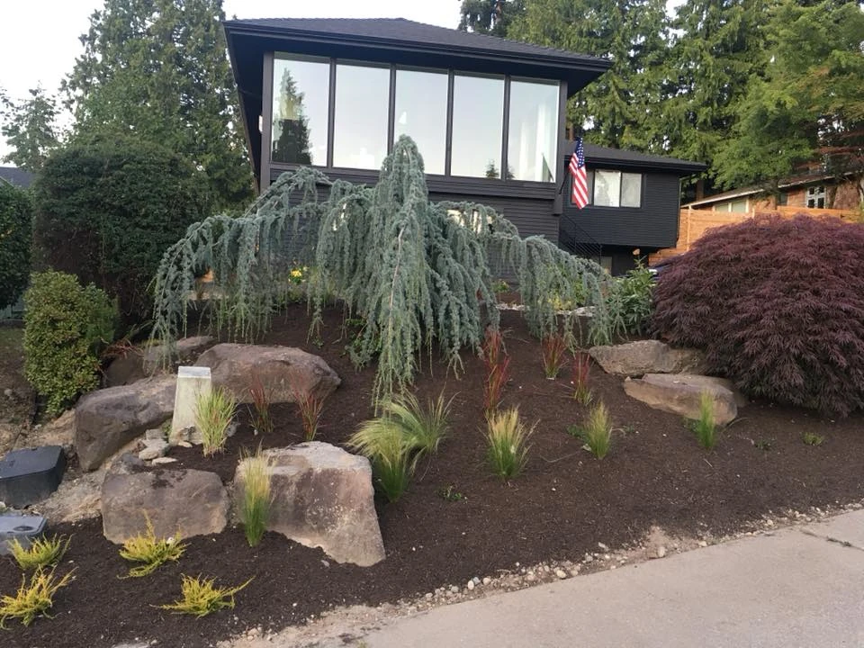 Fall Yard Clean Up Services Fall Yard Clean Up Services