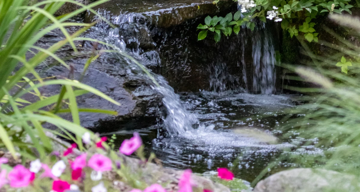 Backyard Water Features