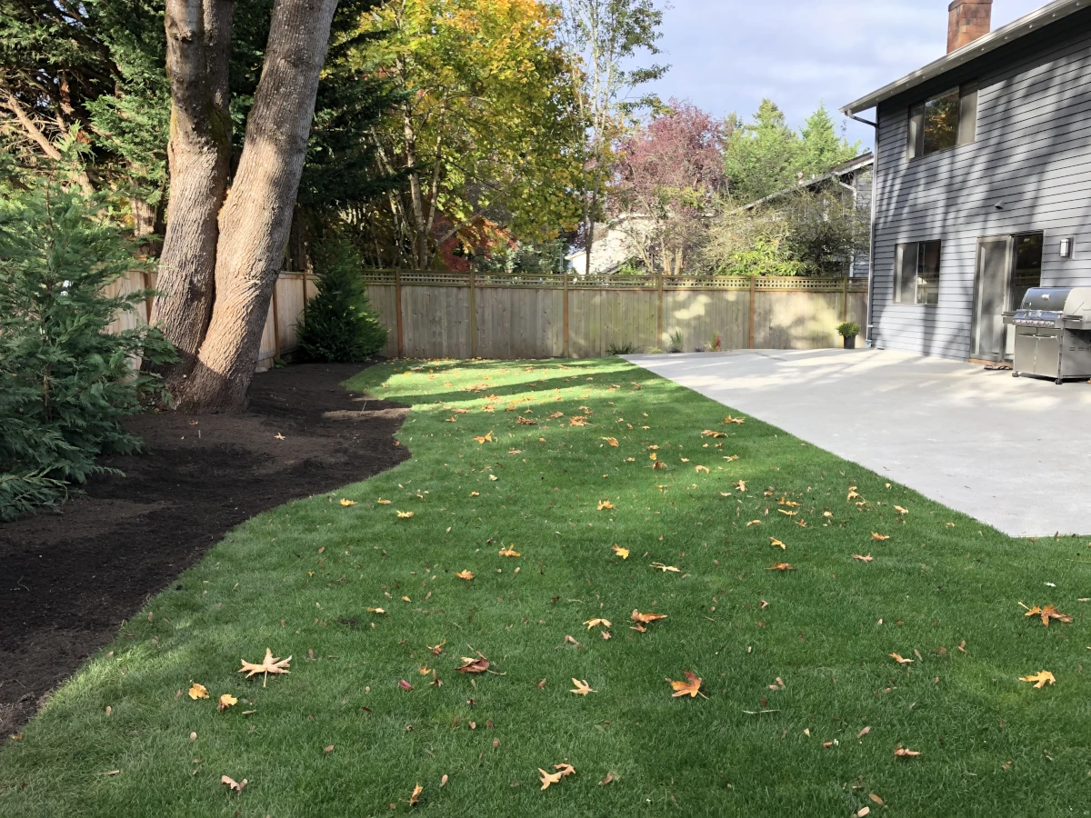 New Lawns - New Lawn Installation