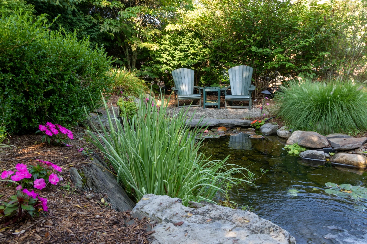 Relaxing Backyard Water Garden