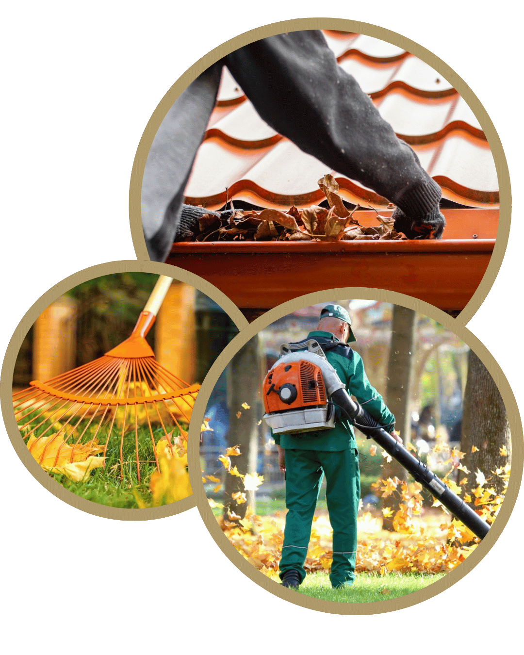 fall yard cleaning Professional Yard Services